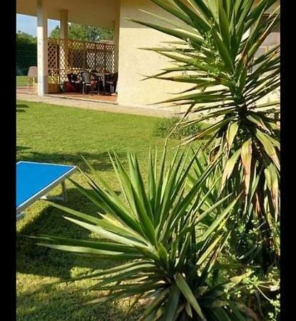 Green Garden Viareggio Exterior photo